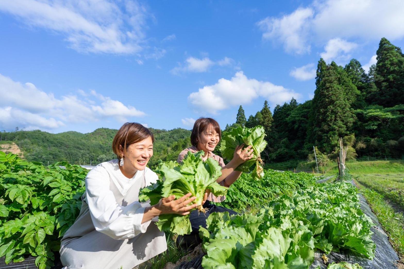 Music Forest Villa&Camp Tamba-Sasayama Exteriér fotografie